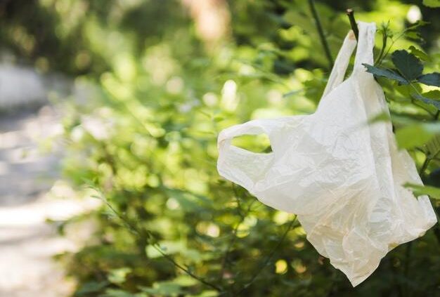 “Everyday Say No to Plastic Bags”