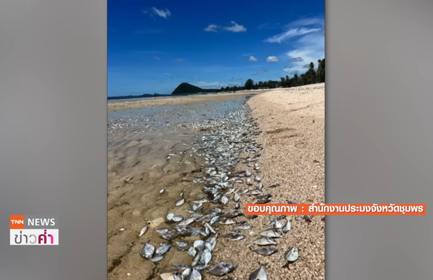 Image Source: TNN Thailand (YouTube), accessed June 2026.